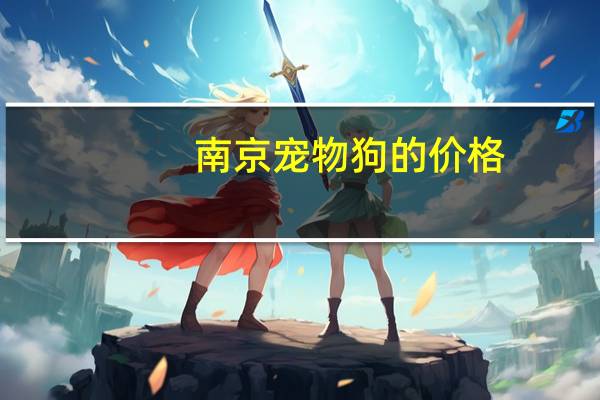 南京宠物狗的价格