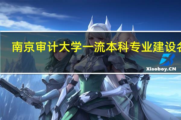 南京审计大学一流本科专业建设名单