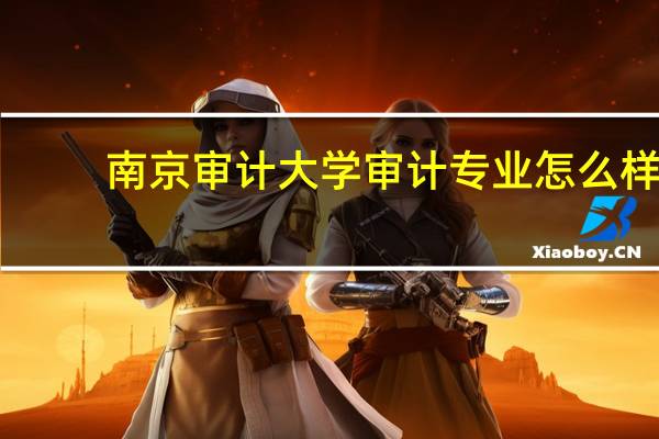 南京审计大学审计专业怎么样