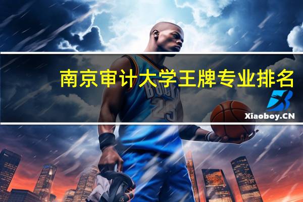 南京审计大学王牌专业排名