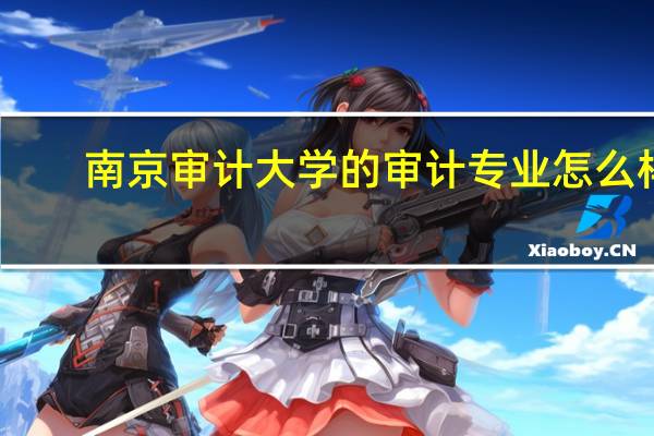 南京审计大学的审计专业怎么样