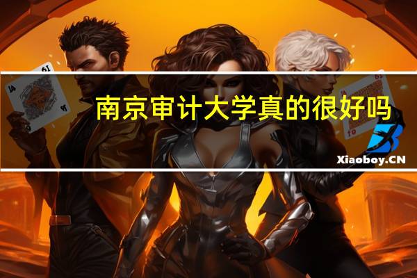 南京审计大学真的很好吗
