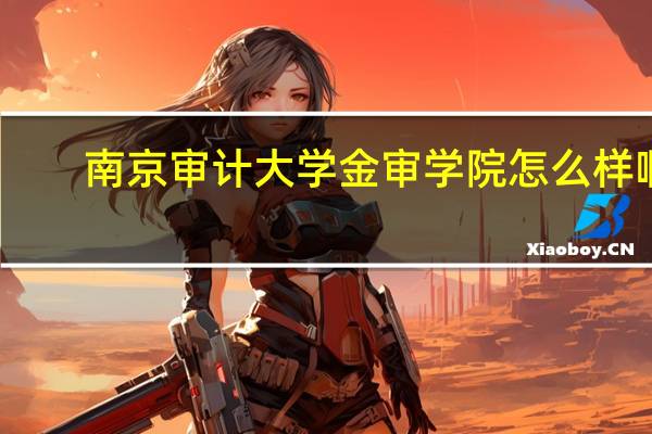 南京审计大学金审学院怎么样啊
