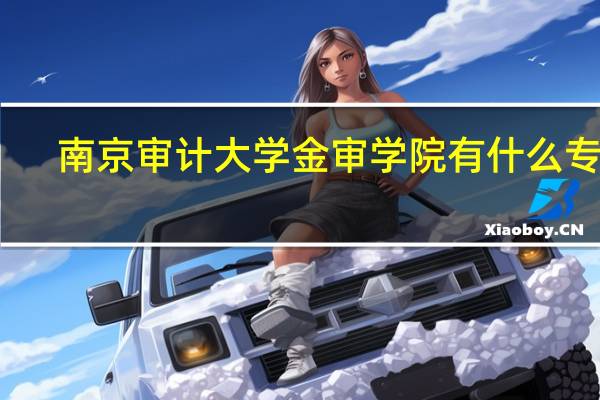 南京审计大学金审学院有什么专业