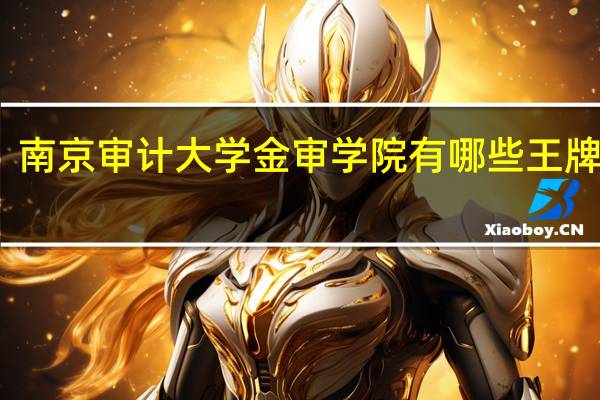 南京审计大学金审学院有哪些王牌专业