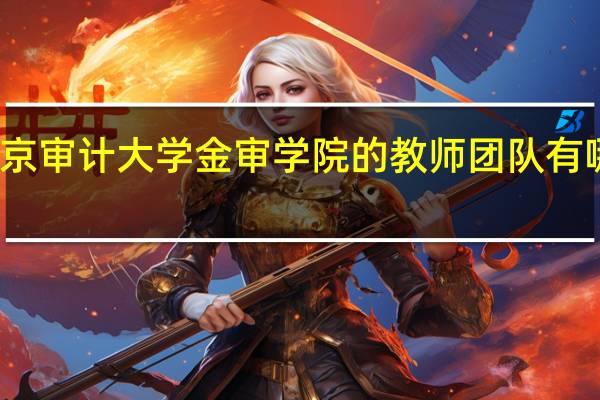南京审计大学金审学院的教师团队有哪些优势