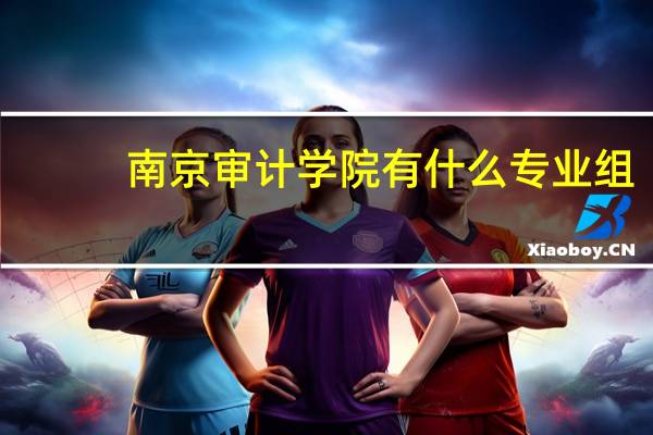 南京审计学院有什么专业组