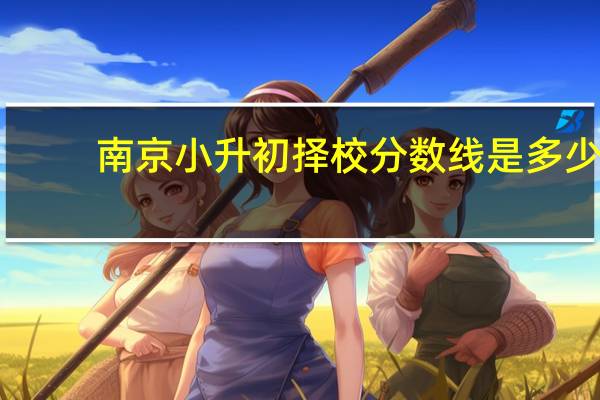 南京小升初择校分数线是多少