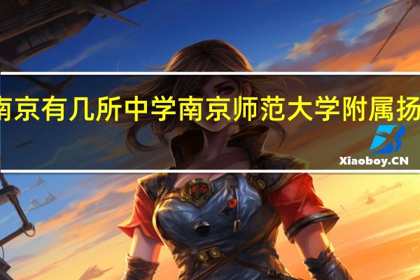 南京有几所中学 南京师范大学附属扬子中学