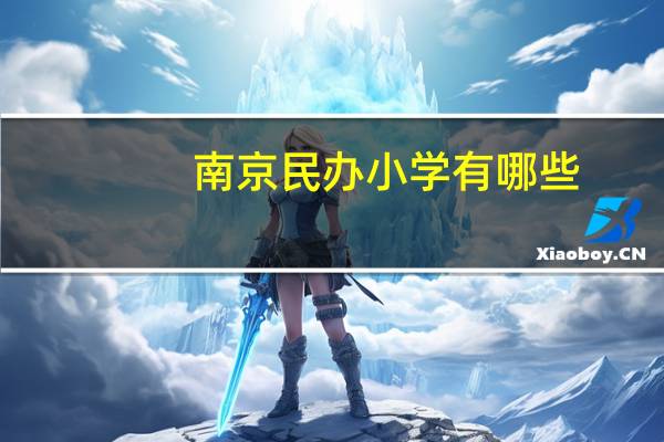 南京民办小学有哪些