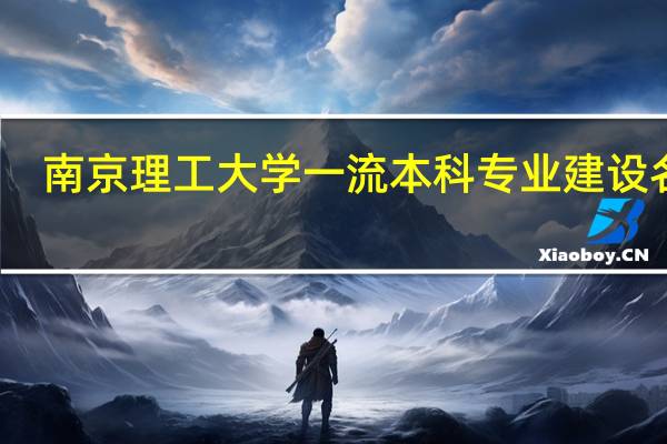南京理工大学一流本科专业建设名单