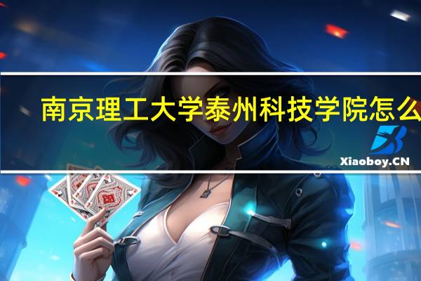 南京理工大学泰州科技学院怎么样