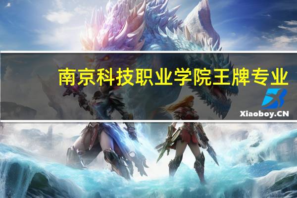 南京科技职业学院王牌专业