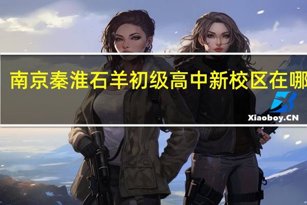 南京秦淮石羊初级高中新校区在哪里啊