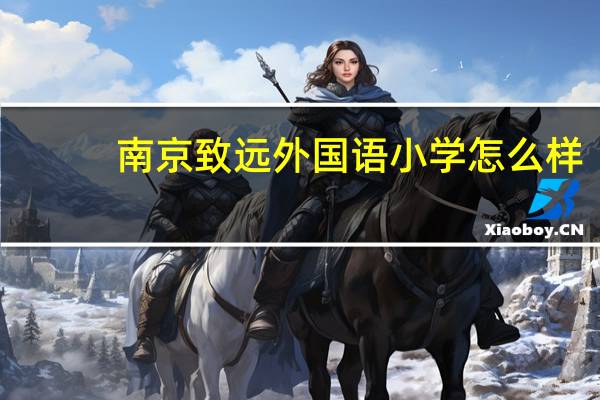 南京致远外国语小学怎么样