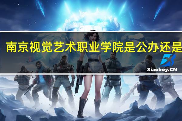 南京视觉艺术职业学院是公办还是民办