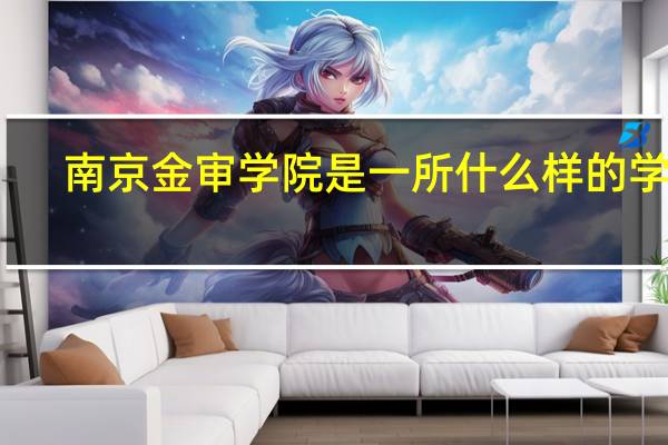 南京金审学院是一所什么样的学校