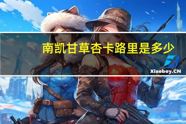 南凯 甘草杏卡路里是多少