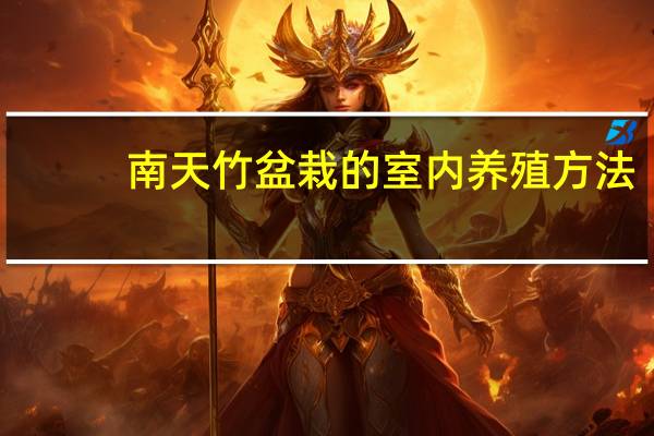南天竹盆栽的室内养殖方法