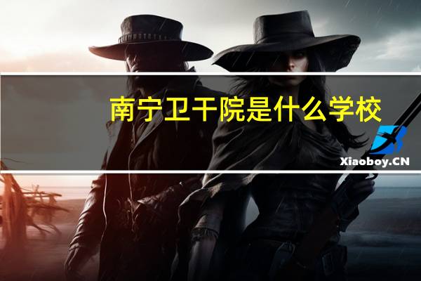 南宁卫干院是什么学校