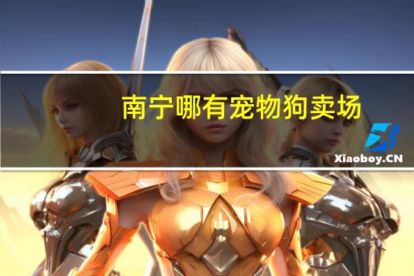 南宁哪有宠物狗卖场