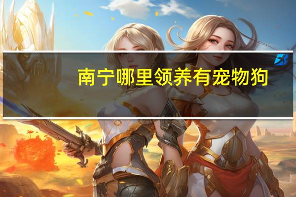 南宁哪里领养有宠物狗