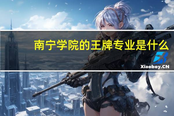 南宁学院的王牌专业是什么