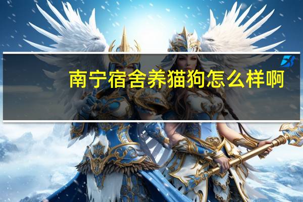 南宁宿舍养猫狗怎么样啊