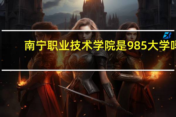 南宁职业技术学院是985大学吗