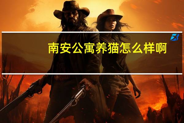 南安公寓养猫怎么样啊