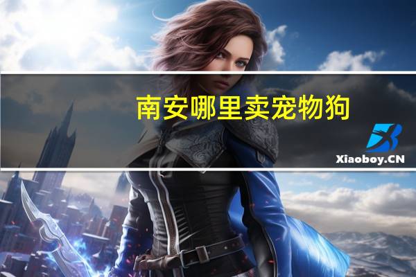 南安哪里卖宠物狗