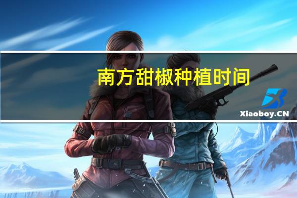 南方甜椒种植时间