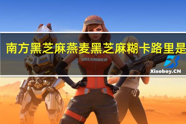 南方黑芝麻 燕麦黑芝麻糊卡路里是多少