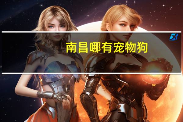 南昌哪有宠物狗