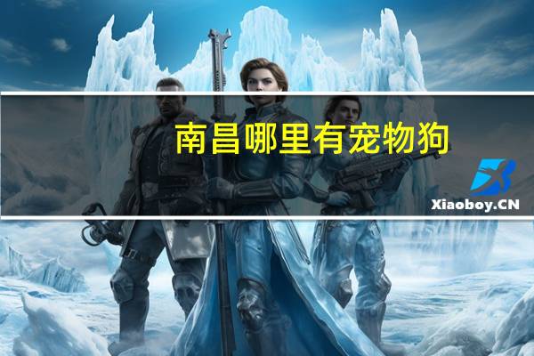 南昌哪里有宠物狗