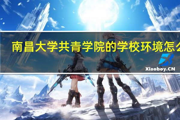 南昌大学共青学院的学校环境怎么样