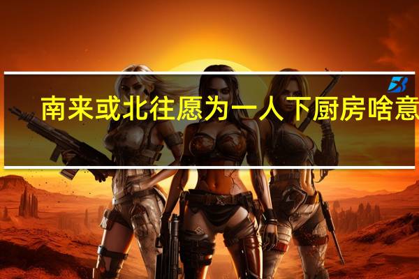 南来或北往愿为一人下厨房啥意思