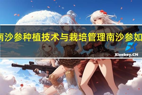 南沙参种植技术与栽培管理 南沙参如何种植
