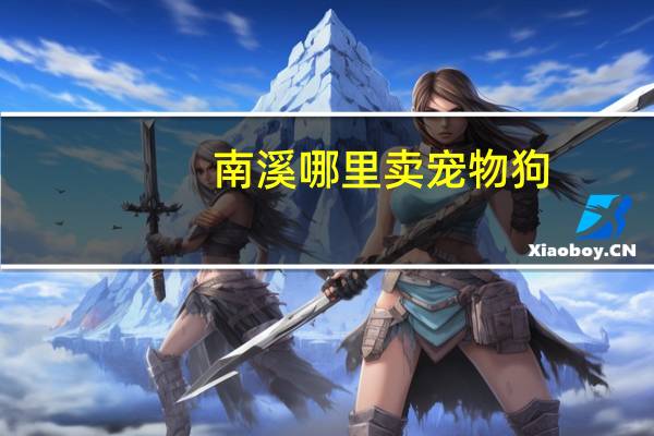 南溪哪里卖宠物狗
