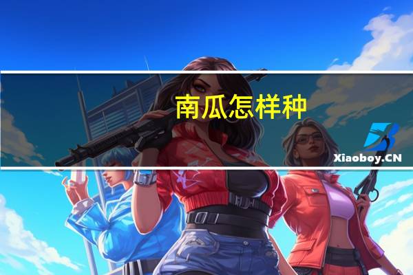 南瓜怎样种