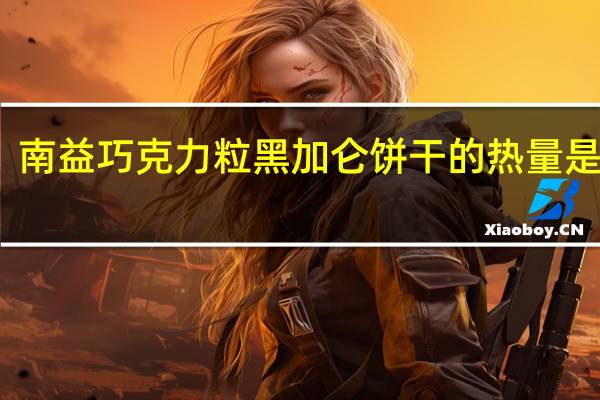 南益 巧克力粒黑加仑饼干的热量是多少
