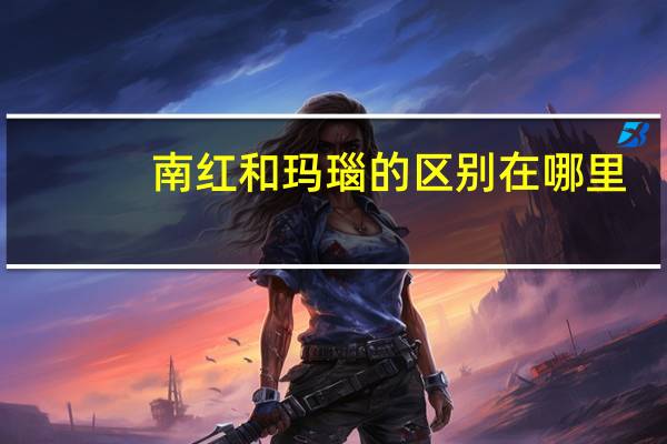 南红和玛瑙的区别在哪里（南红和玛瑙的区别）