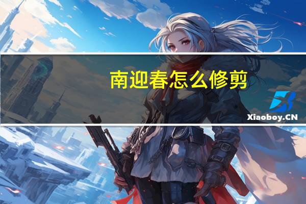 南迎春怎么修剪