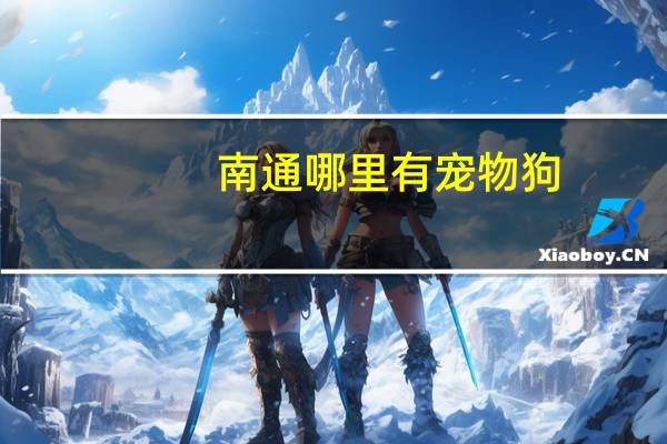 南通哪里有宠物狗