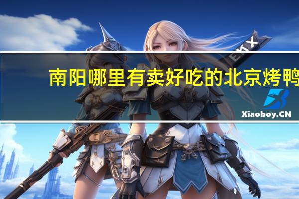 南阳哪里有卖好吃的北京烤鸭