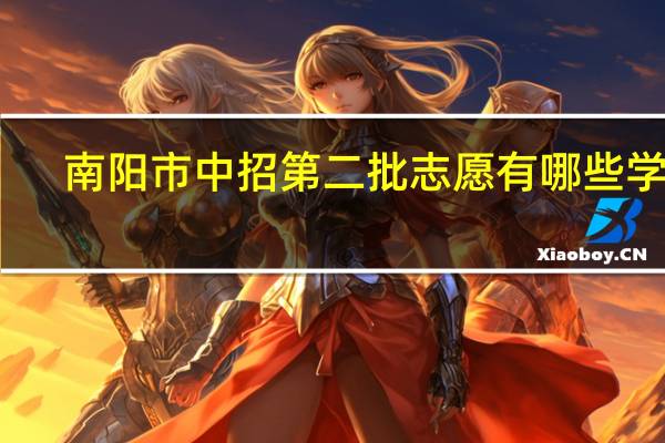 南阳市中招第二批志愿有哪些学校