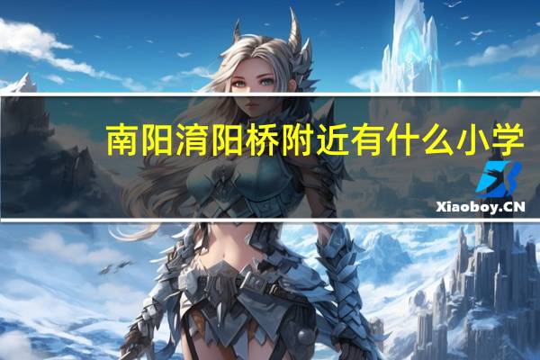 南阳淯阳桥附近有什么小学