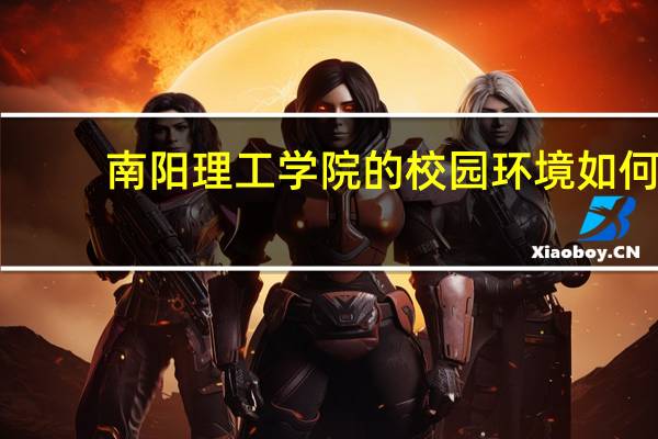 南阳理工学院的校园环境如何