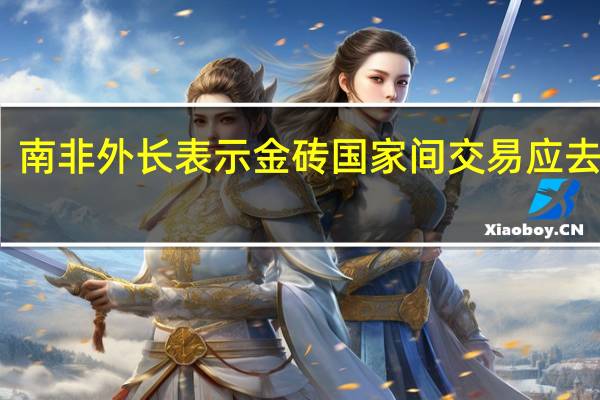 南非外长表示金砖国家间交易应去美元
