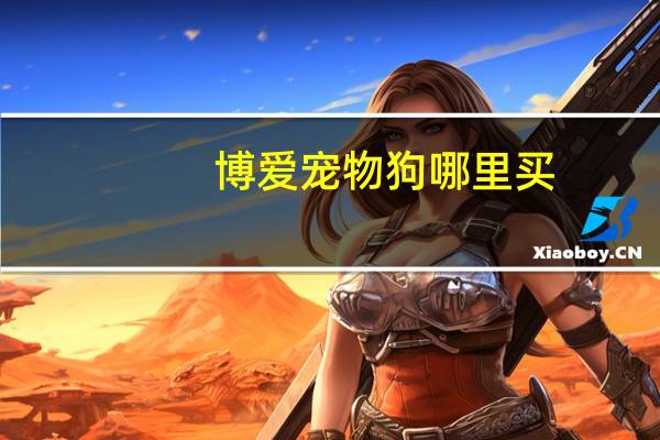博爱宠物狗哪里买